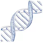 DNA