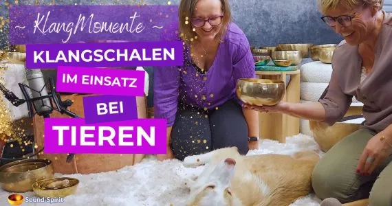 Klangschalen Einsatz bei Tieren