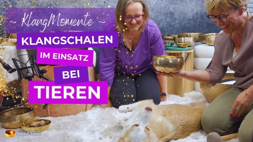 Klangschalen Einsatz bei Tieren