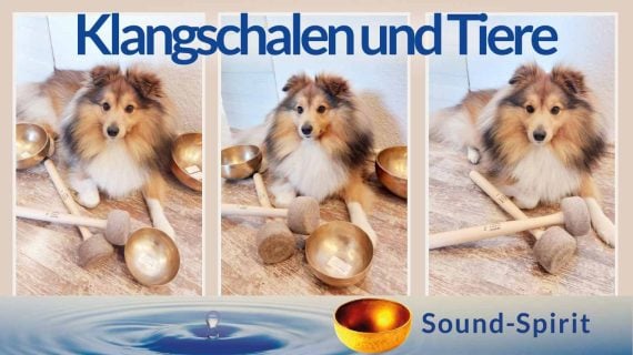 Klangschalen und Tiere