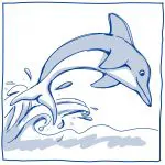 Delfin Planetenschale