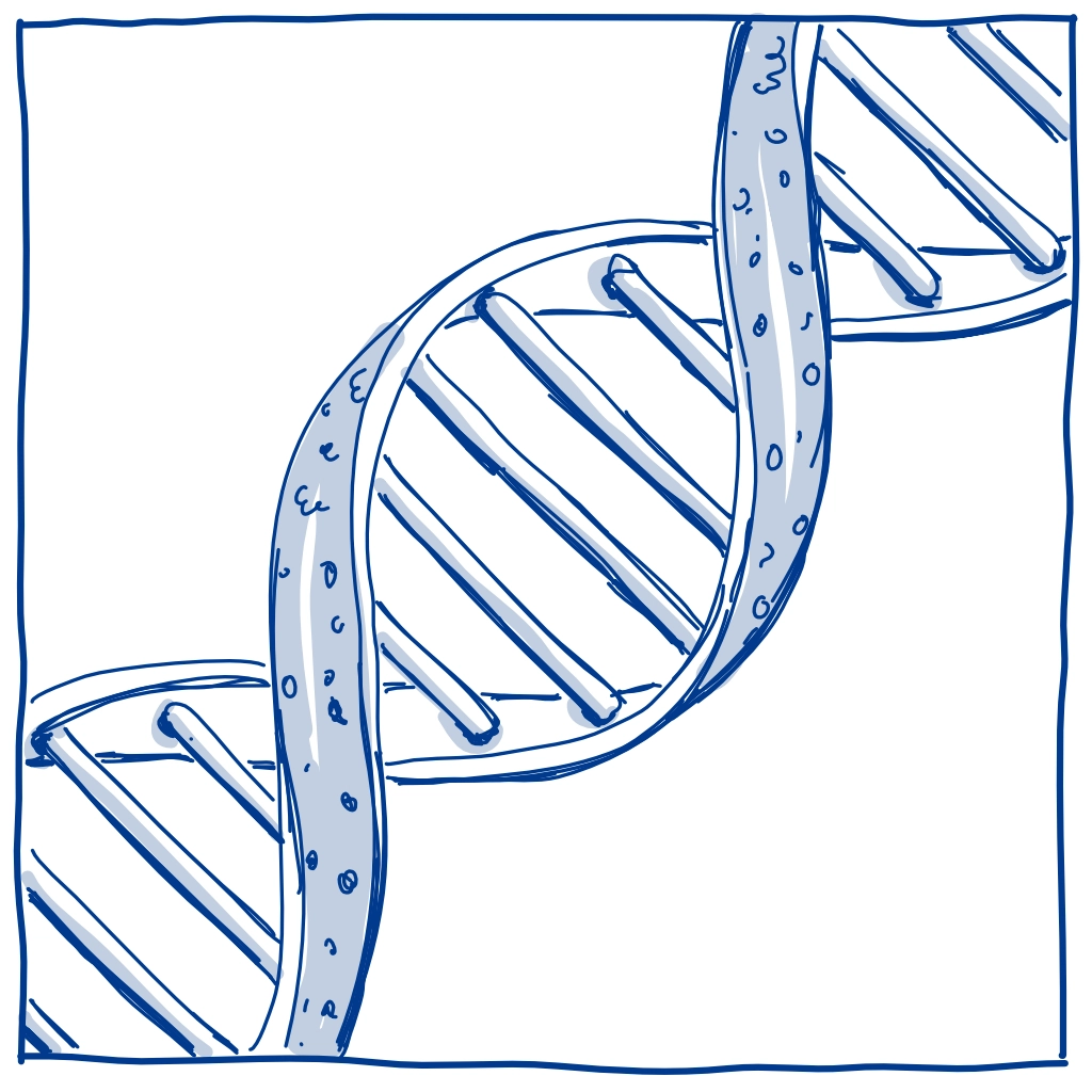 DNA Planetenschale